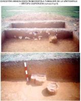 Cronica Cercetărilor Arheologice din România, Campania 2002. Raportul nr. 214