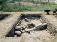 Cronica Cercetărilor Arheologice din România, Campania 2003. Raportul nr. 3