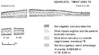 Cronica Cercetărilor Arheologice din România, Campania 2003. Raportul nr. 4.<br /> Sectorul T6-2003.