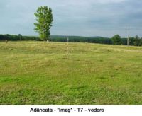 Cronica Cercetărilor Arheologice din România, Campania 2003. Raportul nr. 4.<br /> Sectorul T7-2003.