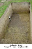Cronica Cercetărilor Arheologice din România, Campania 2003. Raportul nr. 4.<br /> Sectorul T7-2003.