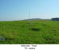 Cronica Cercetărilor Arheologice din România, Campania 2003. Raportul nr. 4.<br /> Sectorul T8-2003.