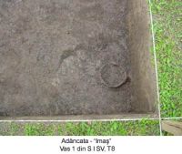 Cronica Cercetărilor Arheologice din România, Campania 2003. Raportul nr. 4.<br /> Sectorul T8-2003.
