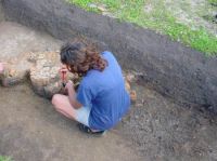 Cronica Cercetărilor Arheologice din România, Campania 2003. Raportul nr. 4.<br /> Sectorul T8-2003.
