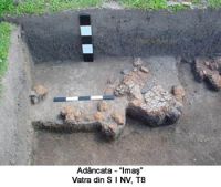Cronica Cercetărilor Arheologice din România, Campania 2003. Raportul nr. 4.<br /> Sectorul T8-2003.