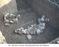 Cronica Cercetărilor Arheologice din România, Campania 2003. Raportul nr. 15
