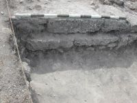 Cronica Cercetărilor Arheologice din România, Campania 2003. Raportul nr. 19