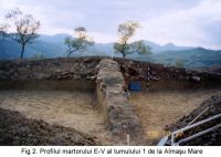 Cronica Cercetărilor Arheologice din România, Campania 2003. Raportul nr. 21