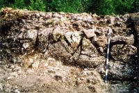 Cronica Cercetărilor Arheologice din România, Campania 2003. Raportul nr. 24