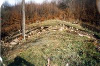 Cronica Cercetărilor Arheologice din România, Campania 2003. Raportul nr. 24