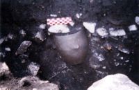 Cronica Cercetărilor Arheologice din România, Campania 2003. Raportul nr. 24