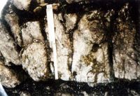 Cronica Cercetărilor Arheologice din România, Campania 2003. Raportul nr. 24