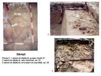 Cronica Cercetărilor Arheologice din România, Campania 2003. Raportul nr. 31