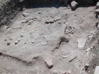 Cronica Cercetărilor Arheologice din România, Campania 2003. Raportul nr. 44