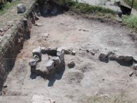 Cronica Cercetărilor Arheologice din România, Campania 2003. Raportul nr. 44