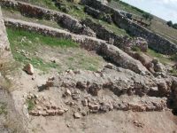 Cronica Cercetărilor Arheologice din România, Campania 2003. Raportul nr. 44