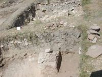 Cronica Cercetărilor Arheologice din România, Campania 2003. Raportul nr. 44