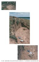 Cronica Cercetărilor Arheologice din România, Campania 2003. Raportul nr. 45