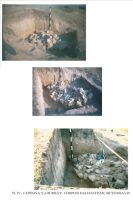 Cronica Cercetărilor Arheologice din România, Campania 2003. Raportul nr. 45