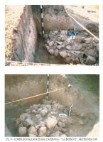 Cronica Cercetărilor Arheologice din România, Campania 2003. Raportul nr. 45
