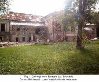 Cronica Cercetărilor Arheologice din România, Campania 2003. Raportul nr. 46