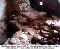 Cronica Cercetărilor Arheologice din România, Campania 2003. Raportul nr. 46