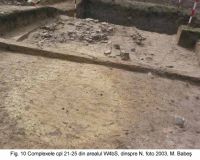 Cronica Cercetărilor Arheologice din România, Campania 2003. Raportul nr. 49