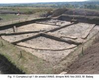 Cronica Cercetărilor Arheologice din România, Campania 2003. Raportul nr. 49
