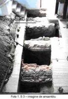 Cronica Cercetărilor Arheologice din România, Campania 2003. Raportul nr. 52
