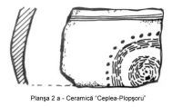 Cronica Cercetărilor Arheologice din România, Campania 2003. Raportul nr. 53