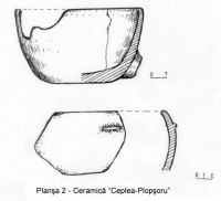 Cronica Cercetărilor Arheologice din România, Campania 2003. Raportul nr. 53