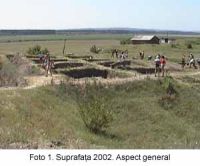 Cronica Cercetărilor Arheologice din România, Campania 2003. Raportul nr. 58