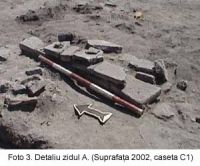 Cronica Cercetărilor Arheologice din România, Campania 2003. Raportul nr. 58