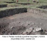 Cronica Cercetărilor Arheologice din România, Campania 2003. Raportul nr. 58
