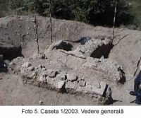 Cronica Cercetărilor Arheologice din România, Campania 2003. Raportul nr. 58