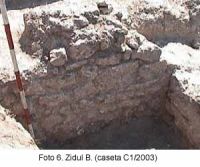 Cronica Cercetărilor Arheologice din România, Campania 2003. Raportul nr. 58