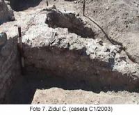 Cronica Cercetărilor Arheologice din România, Campania 2003. Raportul nr. 58