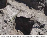 Cronica Cercetărilor Arheologice din România, Campania 2003. Raportul nr. 58