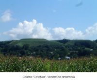 Cronica Cercetărilor Arheologice din România, Campania 2003. Raportul nr. 61