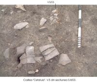Cronica Cercetărilor Arheologice din România, Campania 2003. Raportul nr. 61