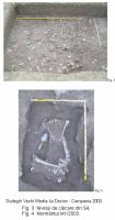 Cronica Cercetărilor Arheologice din România, Campania 2003. Raportul nr. 70.1