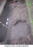 Cronica Cercetărilor Arheologice din România, Campania 2003. Raportul nr. 72