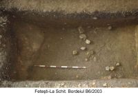 Cronica Cercetărilor Arheologice din România, Campania 2003. Raportul nr. 72