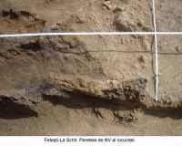 Cronica Cercetărilor Arheologice din România, Campania 2003. Raportul nr. 72