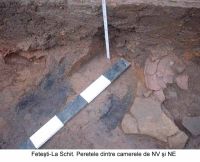 Cronica Cercetărilor Arheologice din România, Campania 2003. Raportul nr. 72