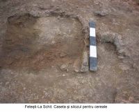 Cronica Cercetărilor Arheologice din România, Campania 2003. Raportul nr. 72
