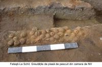 Cronica Cercetărilor Arheologice din România, Campania 2003. Raportul nr. 72