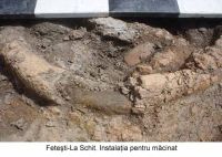 Cronica Cercetărilor Arheologice din România, Campania 2003. Raportul nr. 72