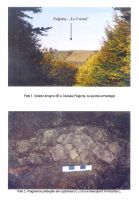 Cronica Cercetărilor Arheologice din România, Campania 2003. Raportul nr. 74
