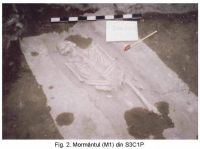 Cronica Cercetărilor Arheologice din România, Campania 2003. Raportul nr. 76